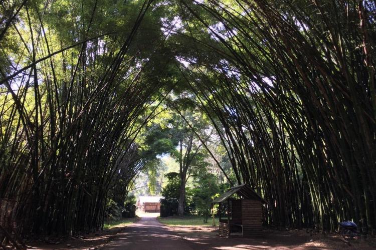 Réplica del monasterio Veluvana en Myanmar